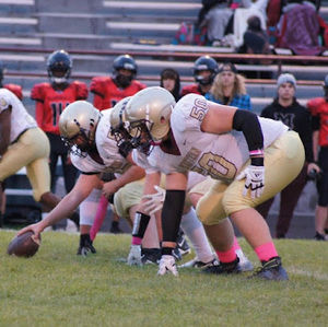 Meet your Posher, Gavin